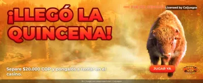 Torneos de Póker Premium