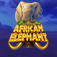 African Elephant game icon
